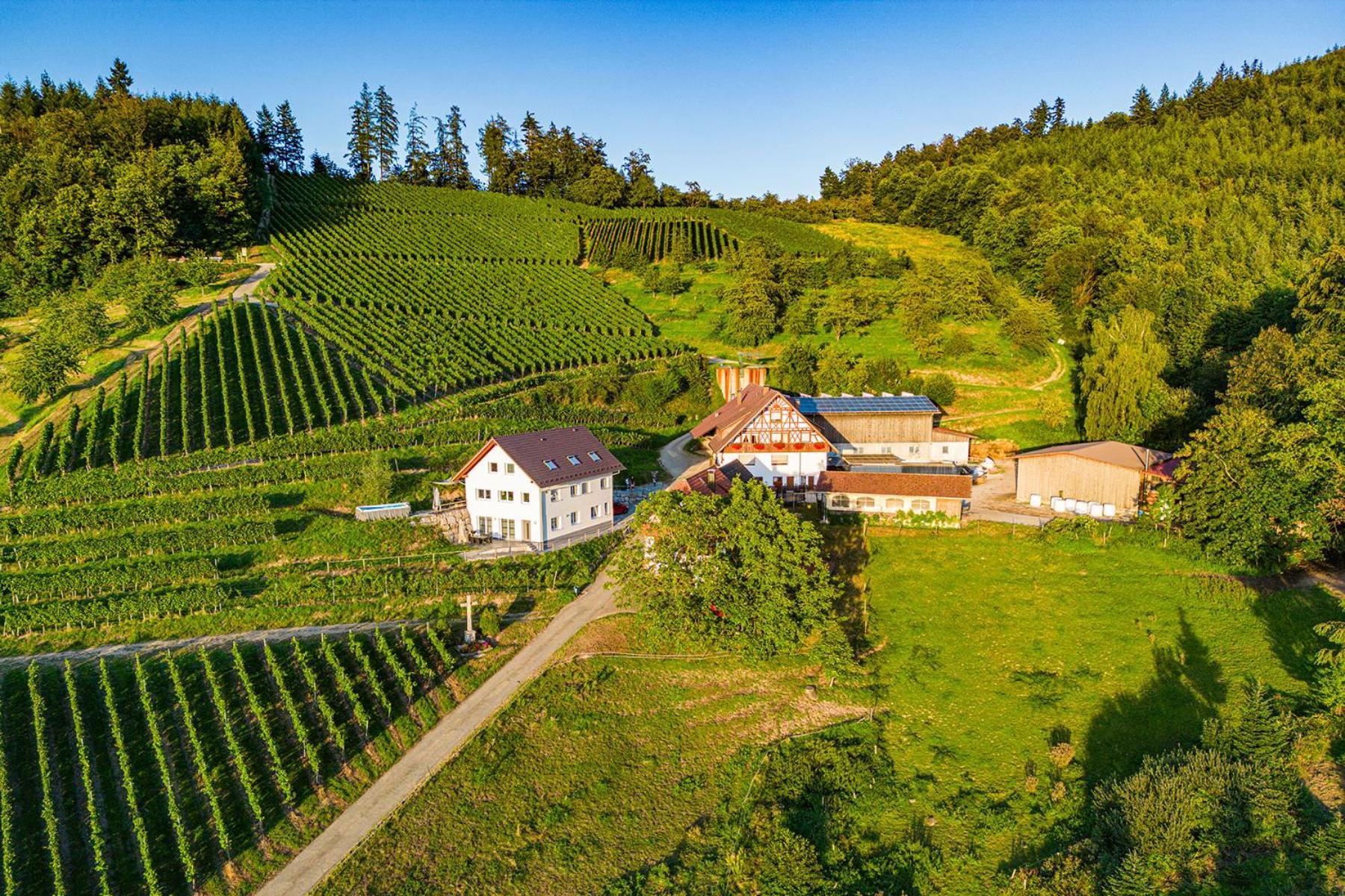 Paradieshof Lautenbach Exteriör bild